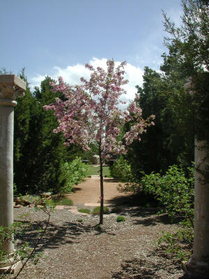 Crabapple (c)2007 www.santafesunsilk.com