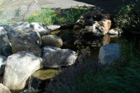 D-upper_pond_200.jpg