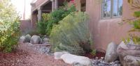 Dry_streambed_200.jpg