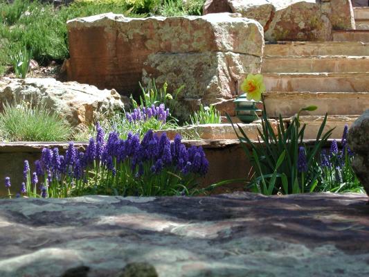 Grape Hyacinths and Boulders (c)2007 www.santafesunsilk.com