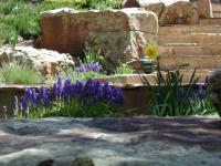 Front_steps_200.jpg