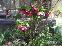 I-2-Spring_on_the_Mountain_200.jpg