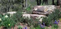 Near_stream_200.jpg