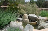 Water_features_200.jpg