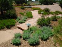 Xeric_Walkway_200.jpg